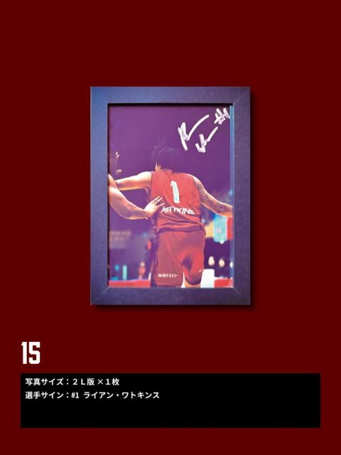 CAI蒼MTC萶ʐ^@tHgt[t15 