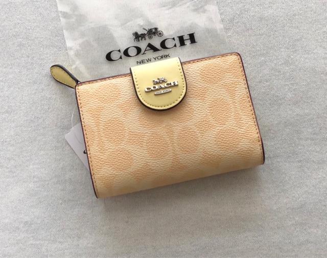 COACHAEgbg@܂z@VOl`[@CG[@F 