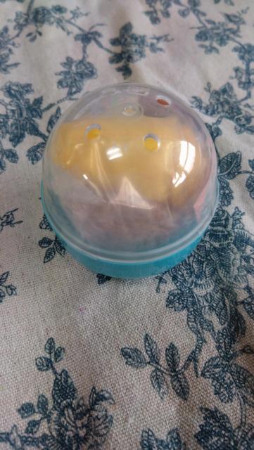 ���l�߃}�X�R�b�g���J�v�Z���g�C���K�`���K�`�����p�v���J�� �� �z�r�[�� 