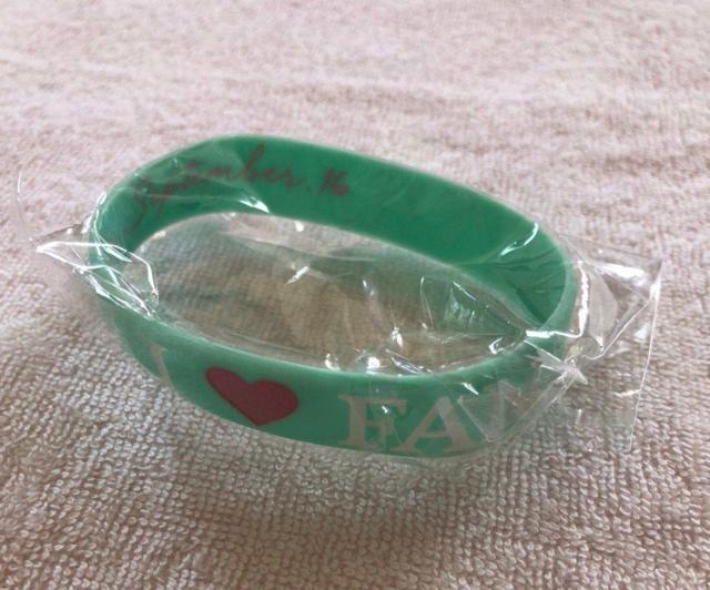 安室奈美恵 26th 沖縄会場限定 ラバーバンド(ミントグリーン) < タレントグッズ 安室奈美恵 26th 沖縄会場限定 ラバーバンド(ミントグリーン) < タレントグッズの