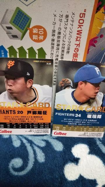 プロ野球チップス2022セット < トレーディングカード  プロ野球チップス2022セット < トレーディングカードの