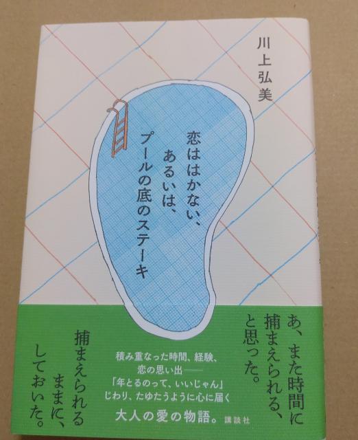 小説本 恋ははかない、あるいは、プールの底のステーキ 川上弘美 < 本/雑誌 小説本 恋ははかない、あるいは、プールの底のステーキ 川上弘美 < 本/雑誌の