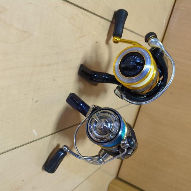 �X�s�j���O���[���FDaiwa Revros /Crest  �� ���W���[/�X�|�[�c�� 