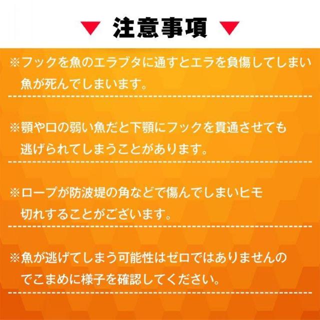 ストリンガー 5個セット ワイヤー ロープ付 鮮度 ツール フィッシュグリップ フック型 レジャー 釣り具 < レジャー/スポーツ  ストリンガー 5個セット ワイヤー ロープ付 鮮度 ツール フィッシュグリップ フック型 レジャー 釣り具 < レジャー/スポーツの