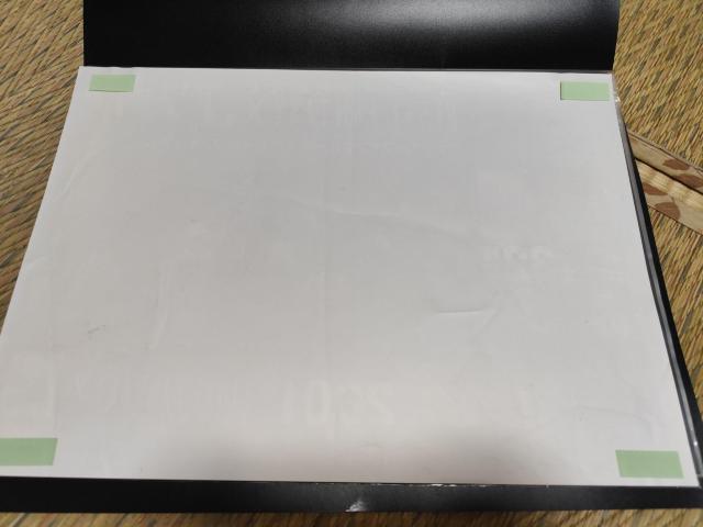 ファイナルファンタジーX 店頭販売促進用ポスター < ホビー ファイナルファンタジーX 店頭販売促進用ポスター < ホビーの