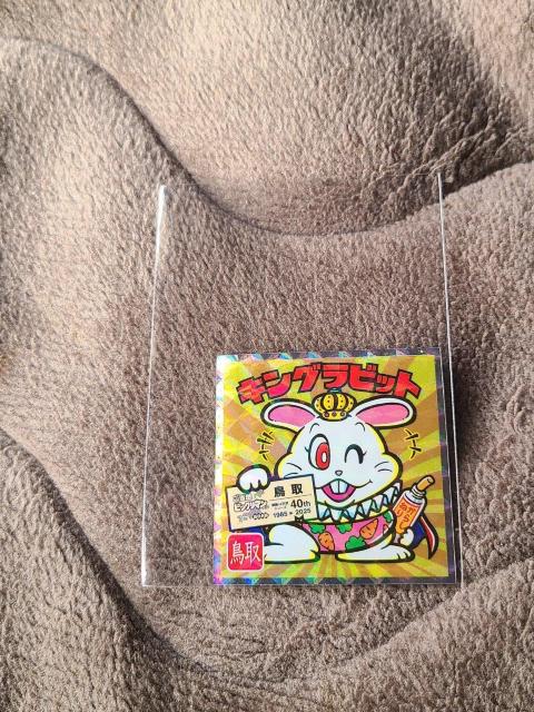 �����n�r�b�N���}���V�[���@�����{�ҁ@NO.7�@�L���O���r�b�g  �� �z�r�[�� 