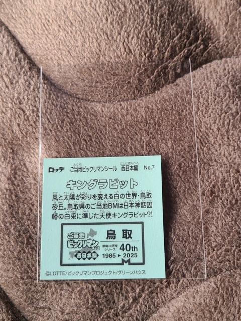 �����n�r�b�N���}���V�[���@�����{�ҁ@NO.7�@�L���O���r�b�g �� �z�r�[�� 