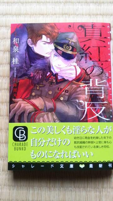 ^g̔w@@@@aj/~wŊ   {/G 