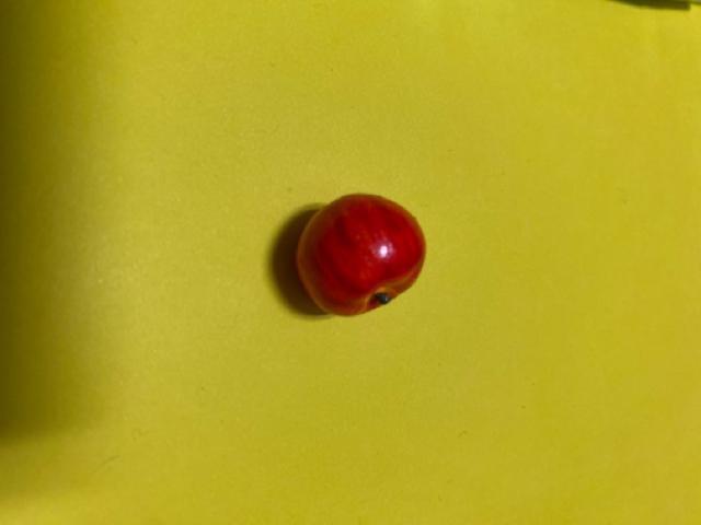 ミニチュア☆りんご < ホビー  ミニチュア☆りんご < ホビーの