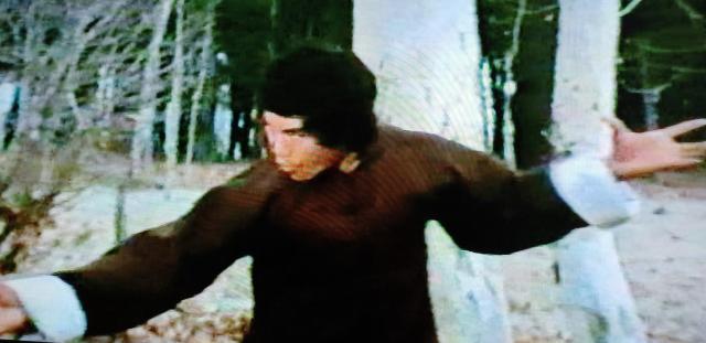 ☆ザ リアル ブルース リー☆ドラゴン リー ブルースリィ < CD/DVD/ビデオ ☆ザ リアル ブルース リー☆ドラゴン リー ブルースリィ < CD/DVD/ビデオの