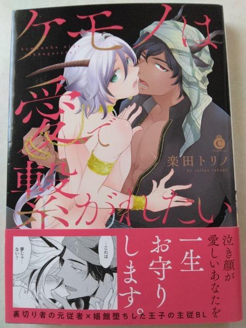 Pm͈Ōqꂽ^ycgm  Aj/R~bN/LN^[ 