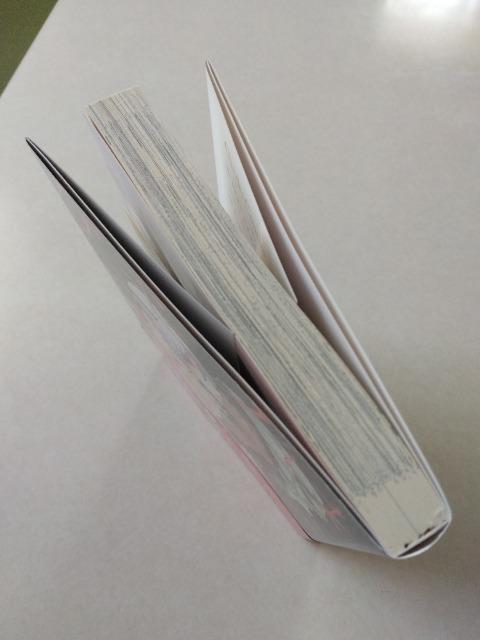 Pm͈Ōqꂽ^ycgm  Aj/R~bN/LN^[ 