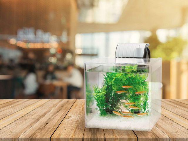 テトラ 静かなメダカ飼育セット SF-17KF < ペット/手芸/園芸  テトラ 静かなメダカ飼育セット SF-17KF < ペット/手芸/園芸の