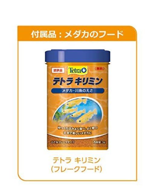 テトラ 静かなメダカ飼育セット SF-17KF < ペット/手芸/園芸  テトラ 静かなメダカ飼育セット SF-17KF < ペット/手芸/園芸の