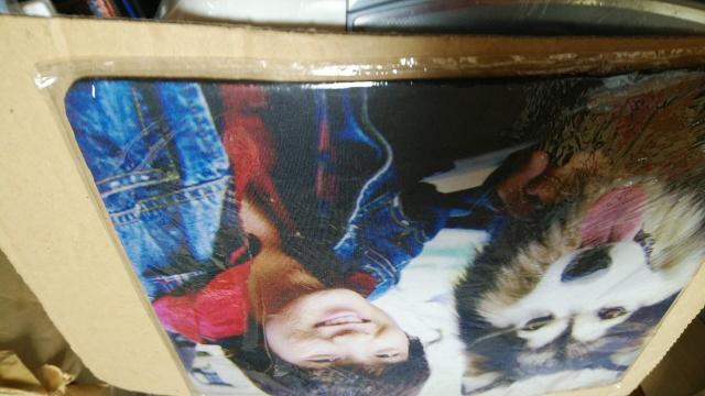 pNEnʐ^}EXpbg   ^gObY 