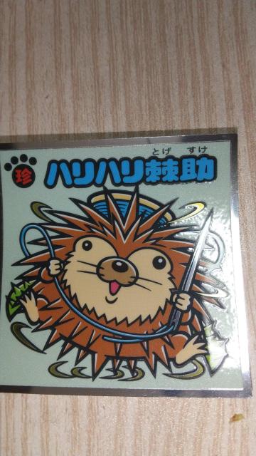 ハリハリ棘助 < ホビー ハリハリ棘助 < ホビーの