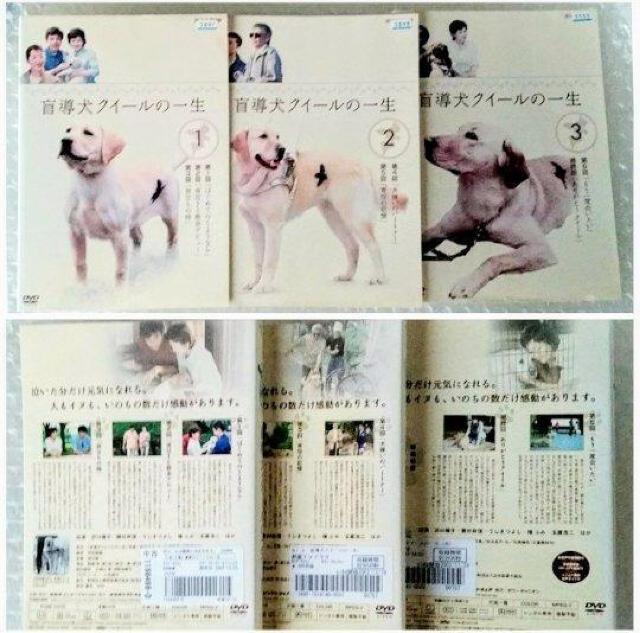 DVDuӓNC[̈ꐶqSRrv ^   CD/DVD/rfI 