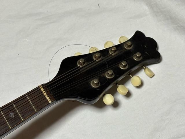 �X�Y�L No.6 �}���h�����ؑ]���� 1960�N�@���B���e�[�W1916-02-1 �� �z�r�[�� 