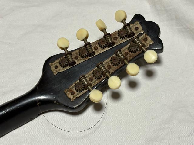 �X�Y�L No.6 �}���h�����ؑ]���� 1960�N�@���B���e�[�W1916-02-1 �� �z�r�[�� 