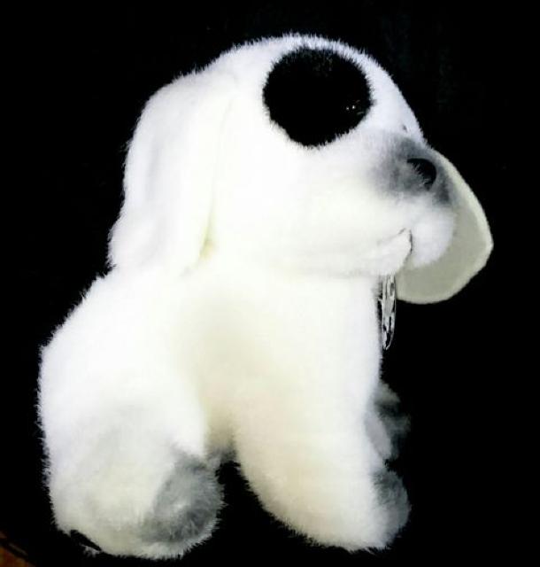 ���a ���g�� �V�i �T���G�[�g�[�C �O�p �Ȃ񂾂� �� �ʂ������ �� ��������� 