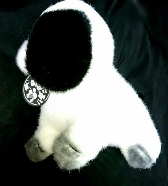 ���a ���g�� �V�i �T���G�[�g�[�C �O�p �Ȃ񂾂� �� �ʂ������ �� ��������� 