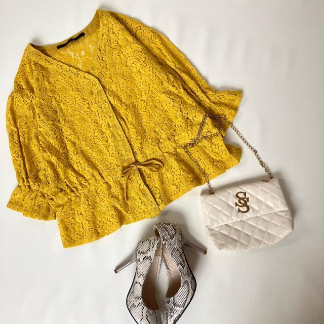 gpKBF+[XuEX}X^[hCG[J[fBKF  uh 