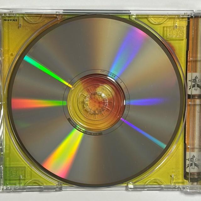 TERENCE TRENT D'ARBY / Vibrator < CD/DVD/ビデオ TERENCE TRENT D'ARBY / Vibrator < CD/DVD/ビデオの