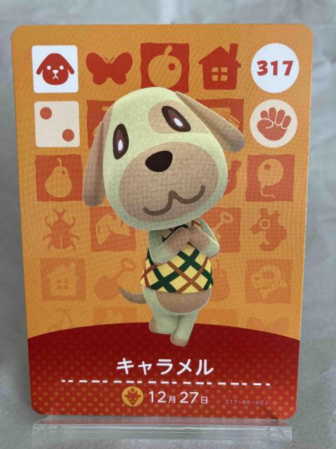 ���܂� �ǂ��Ԃ̐X�i���X�j amibo�J�[�h �L��������  �� �g���[�f�B���O�J�[�h�� 