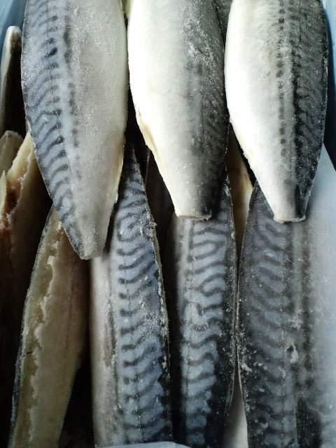 lC**@mEF[Y@TotB[@PO@@Ⓚ 