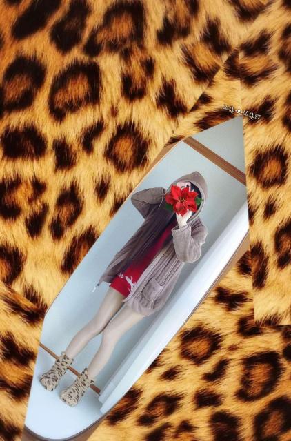 ÉӂXeJ[~*Lacifonelli*VtHl[ڂt[htP[u҂݃t@[zipWPbg