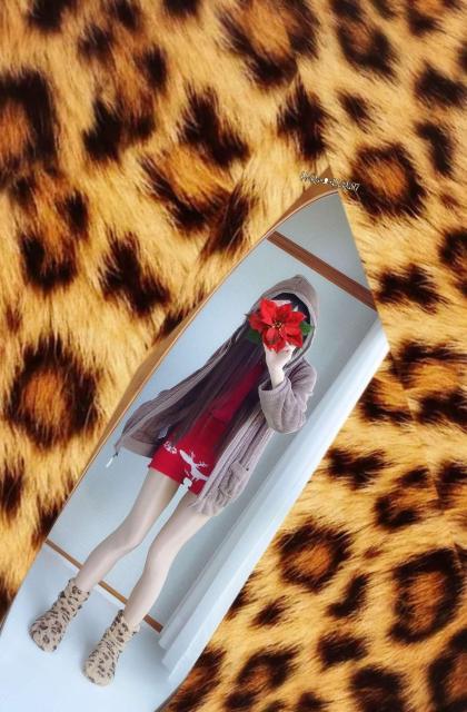 ÉӂXeJ[~*Lacifonelli*VtHl[ڂt[htP[u҂݃t@[zipWPbg