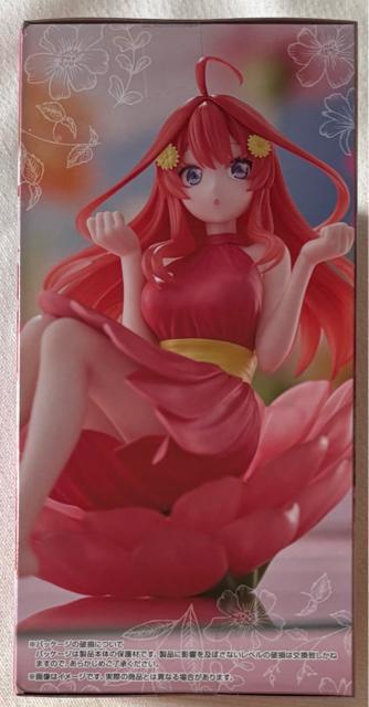 ܓ̉ԉ Bloo-me! ܌  zr[ 