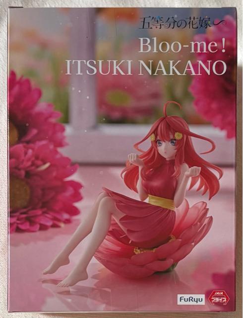 ܓ̉ԉ Bloo-me! ܌  zr[ 