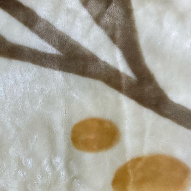 2킹{[}C[ѕzVOTCY140~200cm1.8k  CeA/Ct 