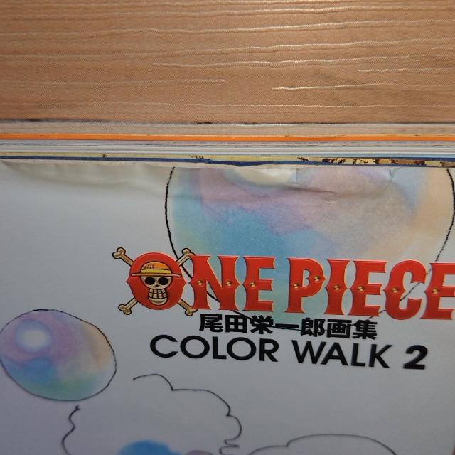 ONE PIECE chYW COLOR WALK 2  Aj/R~bN/LN^[ 