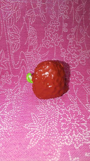 ՂCMLXgbvXPo`[tBMA  zr[ 