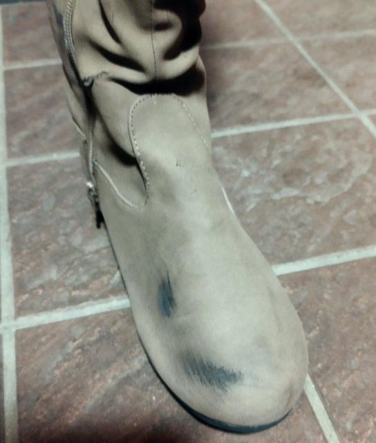 Jx[W O[W@XG[h [q[j[nCu[c@L @L  t@bV 