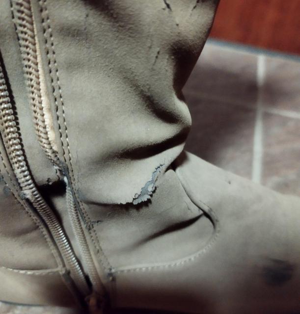 Jx[W O[W@XG[h [q[j[nCu[c@L @L  t@bV 