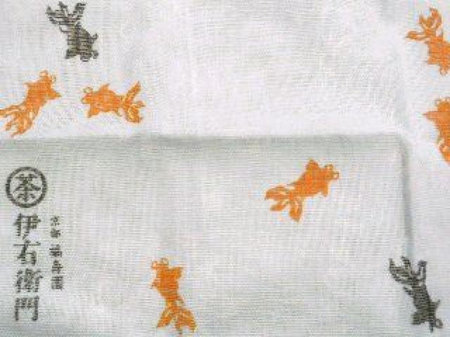 yTg[ɉEq储zĐDĂӂ-K[[dl-  zr[ 