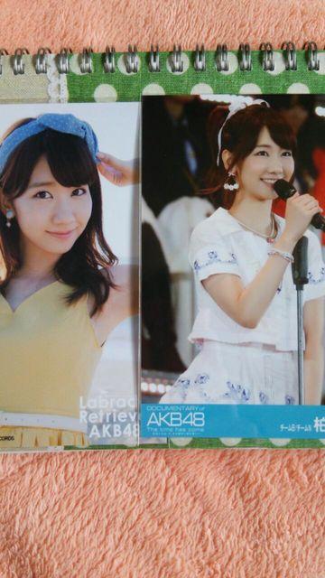 AKB写真 柏木セット3 < タレントグッズ  AKB写真 柏木セット3  < タレントグッズの