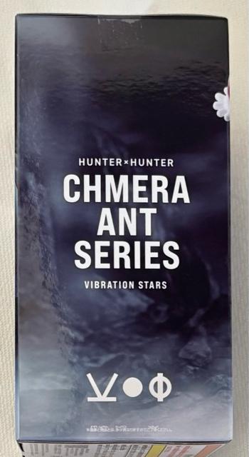 HUNTER�~HUNTER �n���^�[�n���^�[ VIBRATION STARS �J�C�g