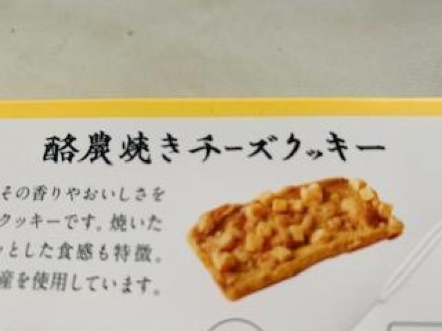 Dy_wZ̐VV[Yu_Ă`[YNbL[v@V