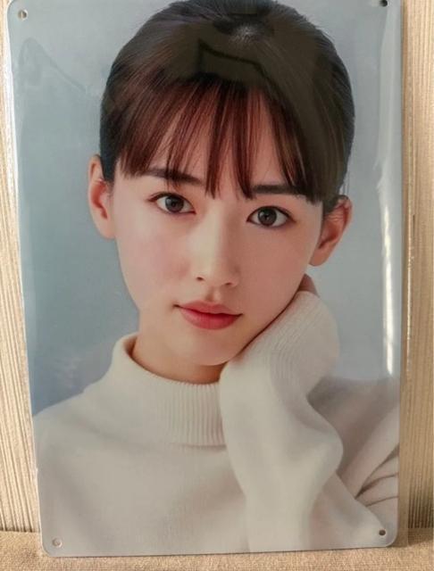 �V�i�@�u���L�Ŕ�  �� �C���e���A/���C�t�� 