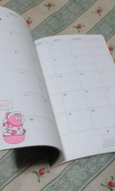 Vio[opp2019N XPW[蒠艿\1080}X[  CeA/Ct 