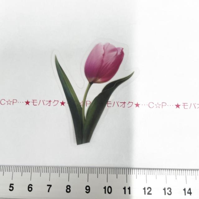 �`���[���b�v�̃R���[�W���V�[���@348  �� �C���e���A/���C�t�� 