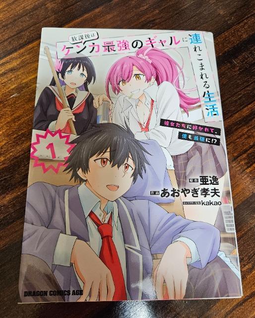 放課後はケンカ最強ギャルに連れこまれる生活 1巻 < アニメ/コミック/キャラクター  放課後はケンカ最強ギャルに連れこまれる生活 1巻  < アニメ/コミック/キャラクターの