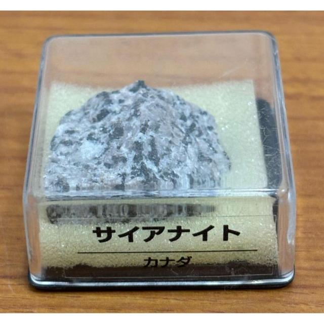 yzfBASXeB[j gW[Xg[ TCAiCg Ji_ zW{̂ qȂ   zr[ 