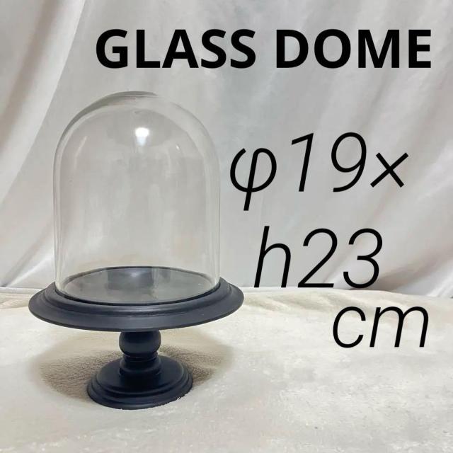 KXh[ KXP[X   c ^ ؐ 23cm G GLASS DOME fBXvC   CeA/Ct 