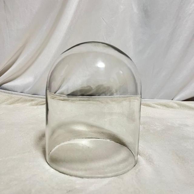 KXh[ KXP[X   c ^ ؐ 23cm G GLASS DOME fBXvC  CeA/Ct 
