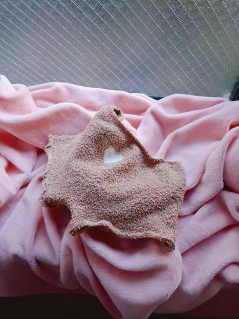 ӂ}CN~j[V[p􉷊|J|JV[pCRKn[geJ[*l~k  t@bV 